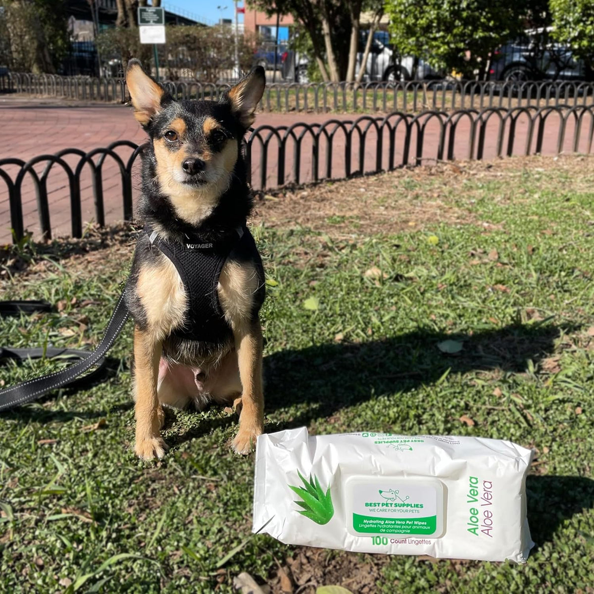 Best Pet Supplies Pet Wipes for Dogs - Dog Wipes Cleaning Deodorizing, for Coats, Ears, Paws