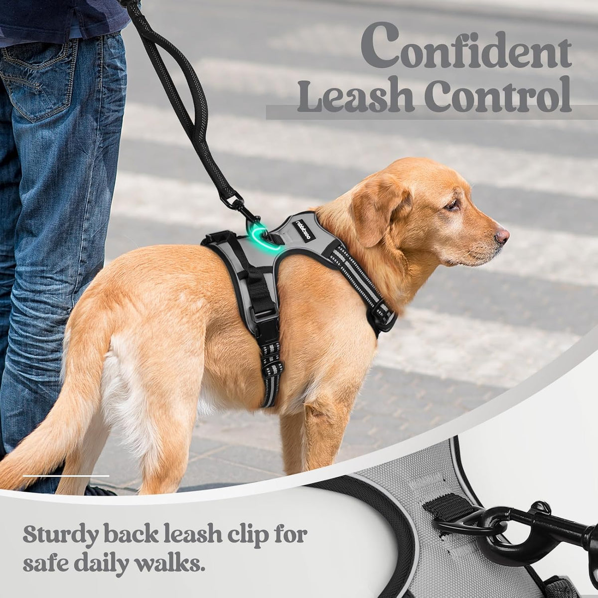 rabbitgoo Dog Harness No Pull with 2 Leash Clips, Adjustable Soft Padded, Reflective Oxford No