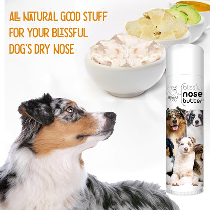 The Blissful Dog Australian Shepherd Nose Butter for Dry, Cracked Skin, Lick-Safe Dog Nose Balm