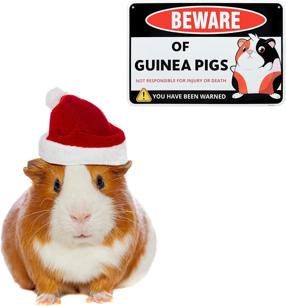 Venicor Guinea Pig Sign Decor - 8 x 12 Inches - Aluminum - Guinea Pig Gifts for Guinea Pig Lovers