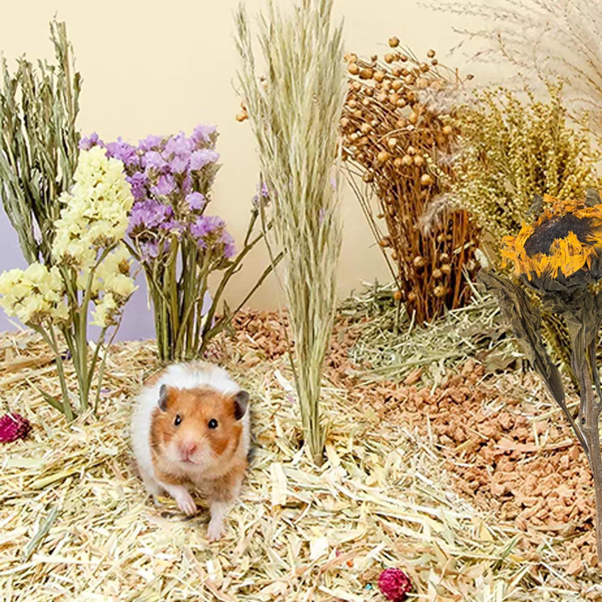 Natural Ear of Grain Flower&Herb Bedding Mate Habitat Decor, Adding Fun Hamster Accessories for