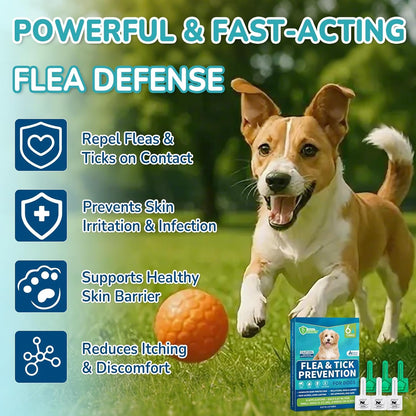 Flea and Tick Prevention for Small Dogs, 6-Month Supply Dog Flea and Tick Treatment Drops, Topical