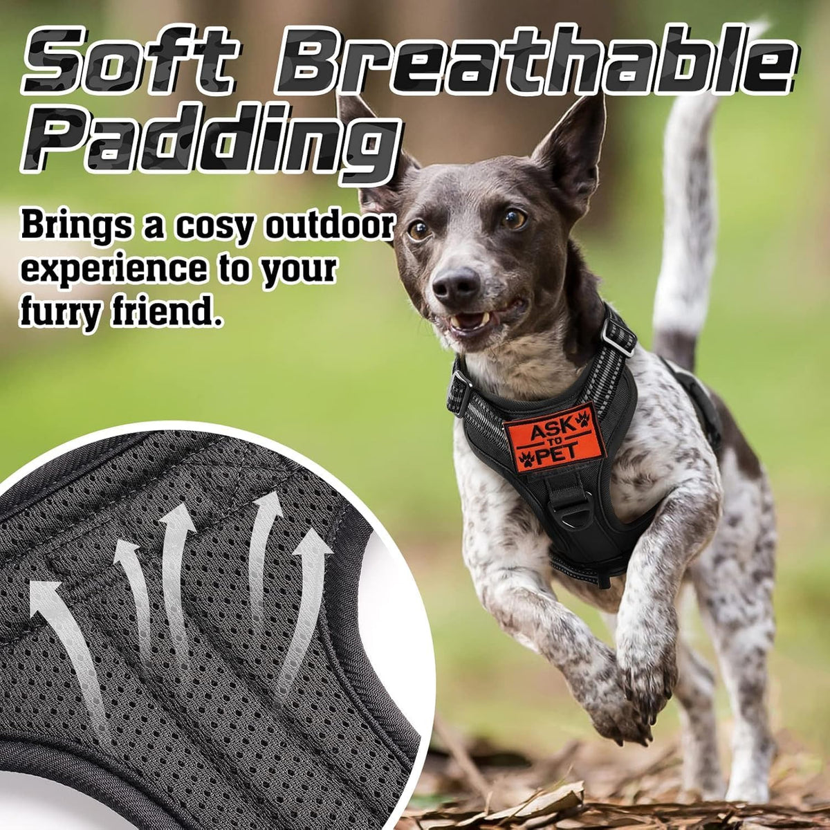 rabbitgoo Dog Harness No Pull, Military Dog Harness Medium Sized Dog with Handle & Molle, Easy
