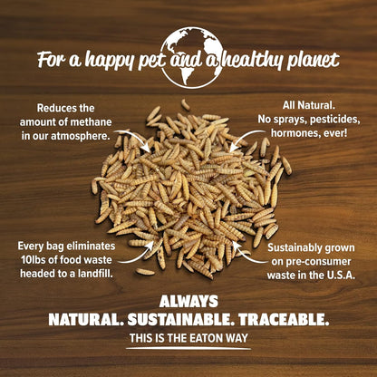 Eaton Pet and Pasture Premium Grubs, USA Grown Dried Black Soldier Fly Larvae, High Calcium Treat
