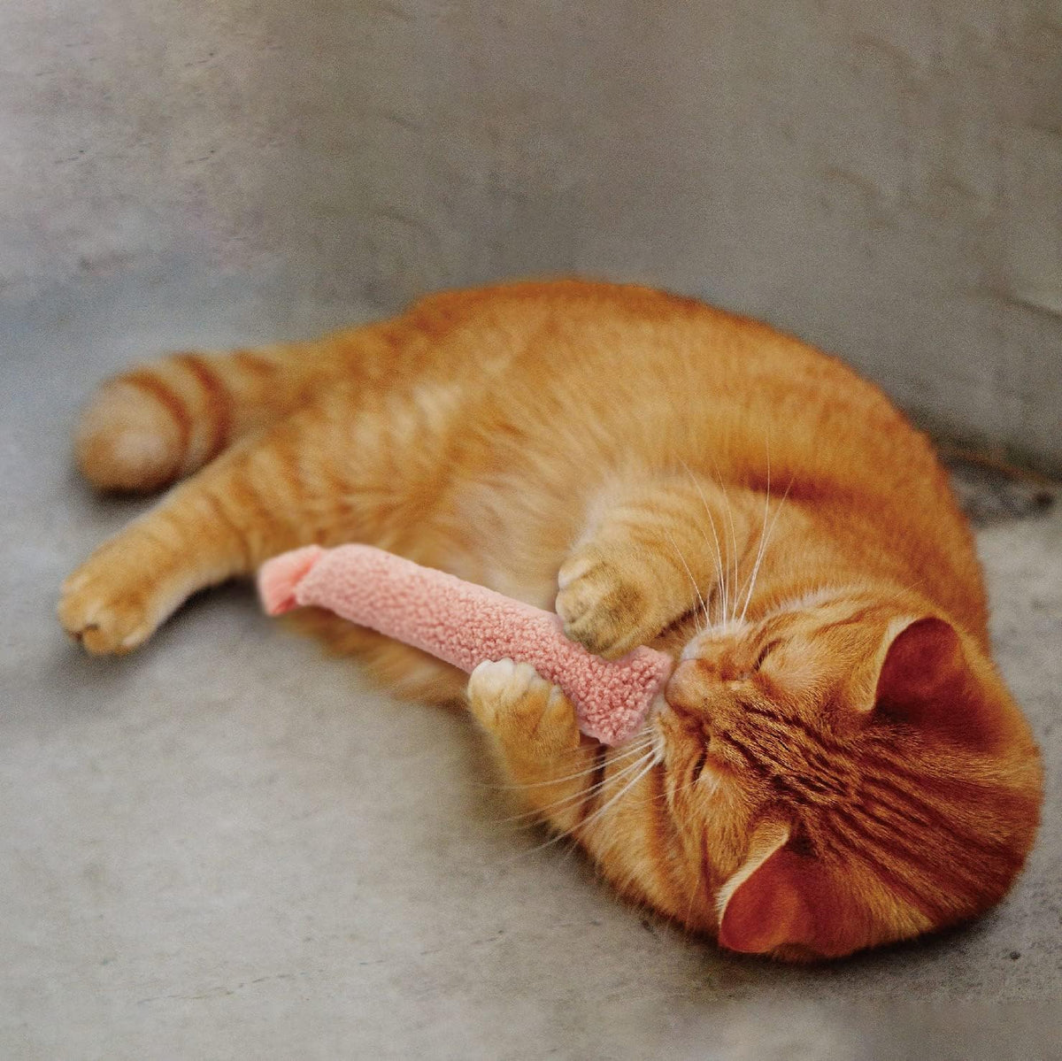 2 Pack Natural Interactive Catnip & Silvervine Cat Kicker with Tail, Bite Resistant Chew Toy