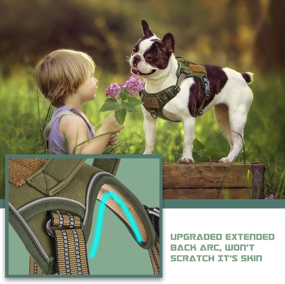 BUMBIN Tactical Dog Harness for Small Dogs No Pull, Famous TIK Tok No Pull Puppy Harness, Fit Smart