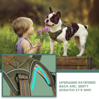 BUMBIN Tactical Dog Harness for Small Dogs No Pull, Famous TIK Tok No Pull Puppy Harness, Fit Smart
