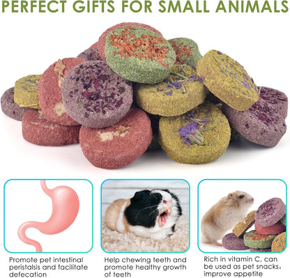 ERKOON 24Pcs Bunny Chew Toys, Small Animal Molar Toys Timothy Grass Beet Sweet Potato Pumpkin Cake