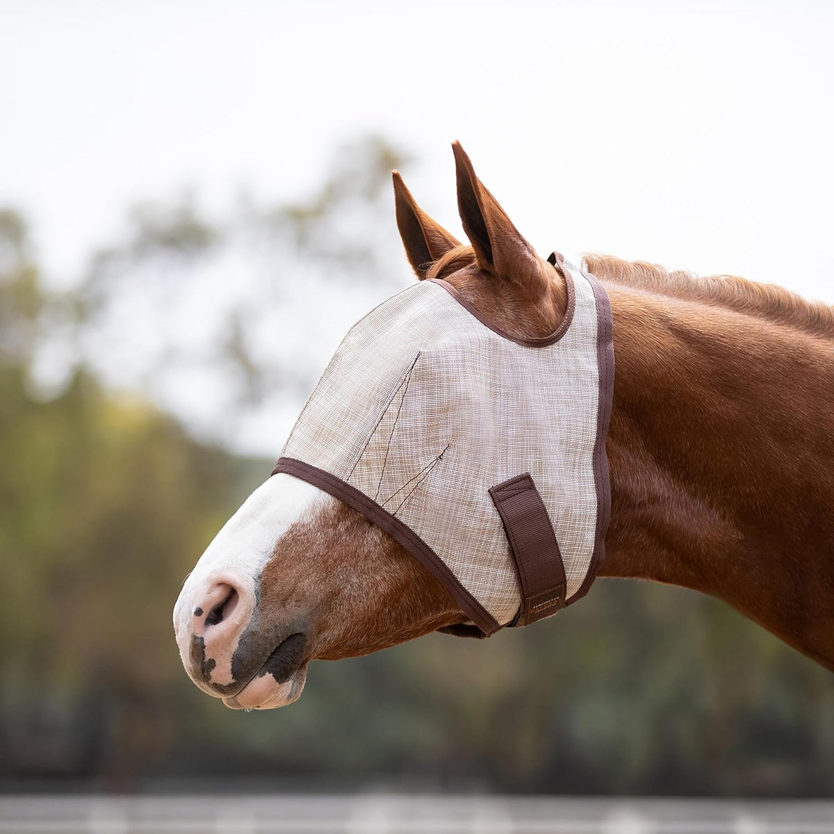 Kensington Fly Mask Web Trim Protects Horses Face and Eyes from Bites and Sun Rays While Allowing