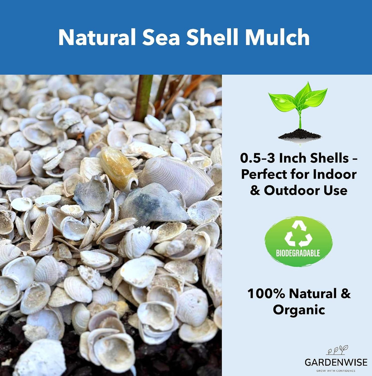 Natural Organic Sea Shell Mulch for Gardens and Landscaping – Decorative and Nutrient-Rich