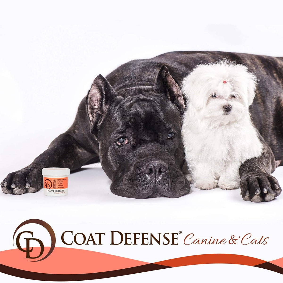 COAT DEFENSE Trouble Spot Drying Paste - Made in USA - 5 Oz Dog & Cat Skin Care, Itchy Skin &
