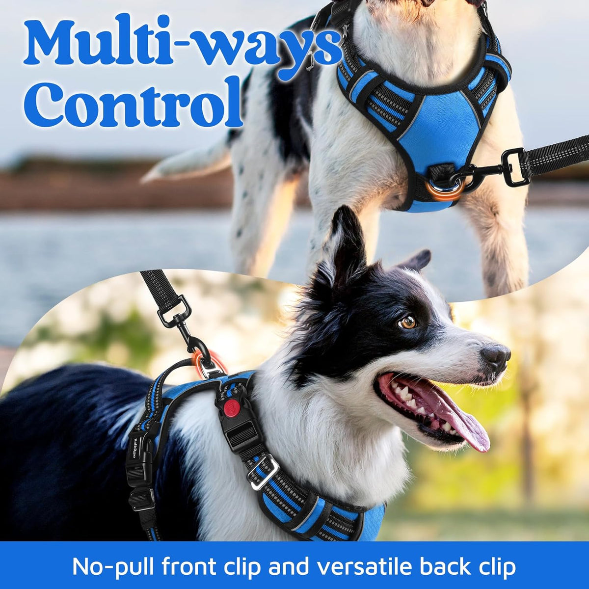 rabbitgoo Dog Harness for Large Dogs, No Pull Pet Vest with 3 Buckles, Adjustable Soft Padded Pet