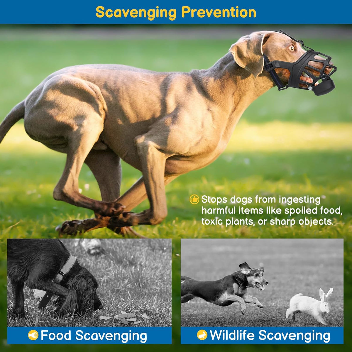 BARKLESS Basket Muzzle for Large Dogs, Humane Muzzle to Prevent Biting and Scavenging, Snap-on