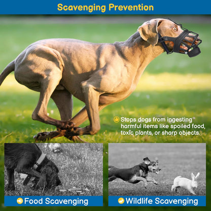 BARKLESS Basket Muzzle for Medium Dogs, Humane Muzzle to Prevent Biting and Scavenging, Snap-on