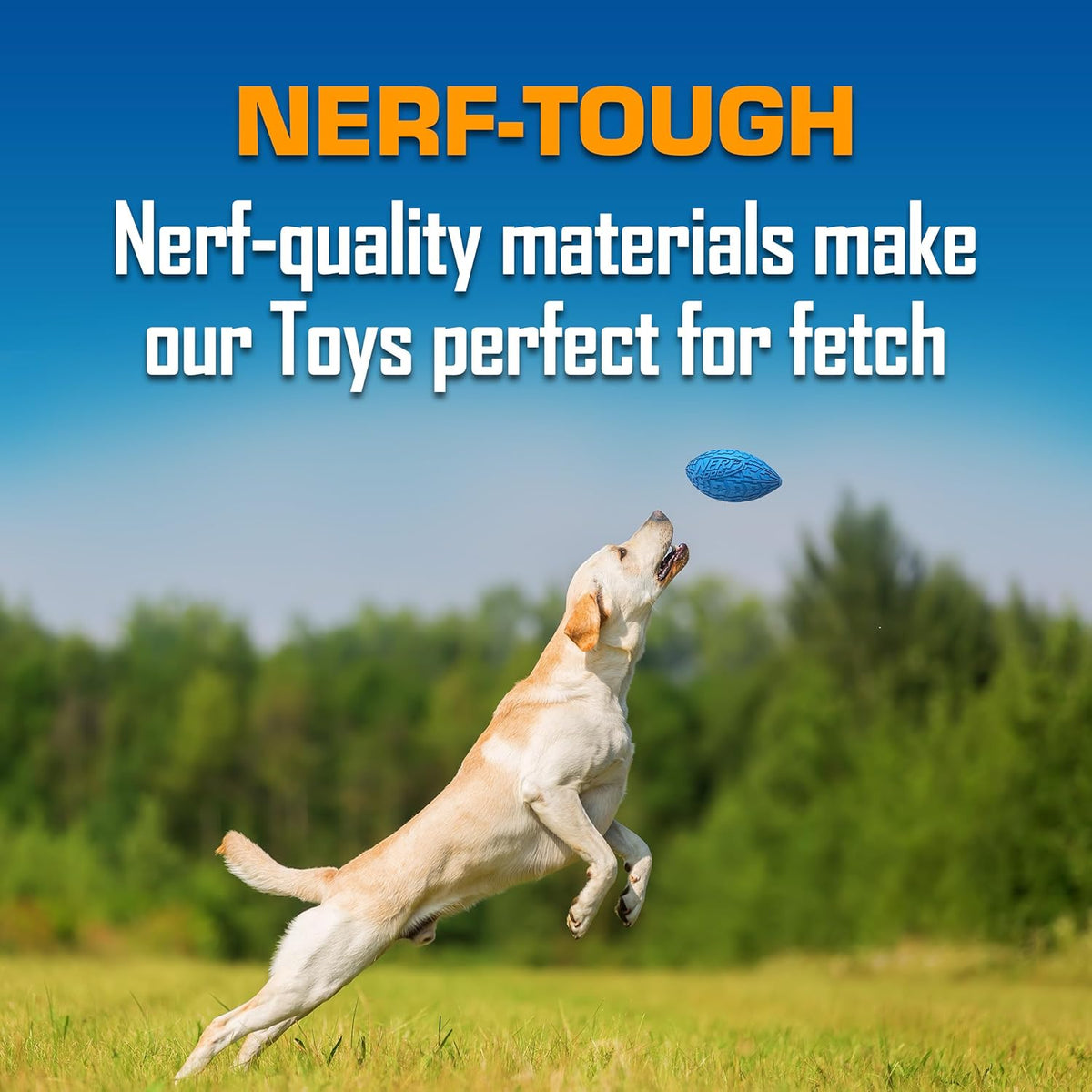 Nerf Dog Toy Gift Set, 3-Piece Set of Outdoor Dog Toys for Fetch, Includes Checker Crunch Ball