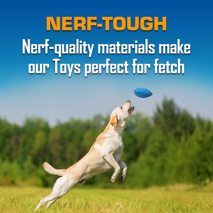 Nerf Dog Toy Gift Set, 3-Piece Set of Outdoor Dog Toys for Fetch, Includes Checker Crunch Ball
