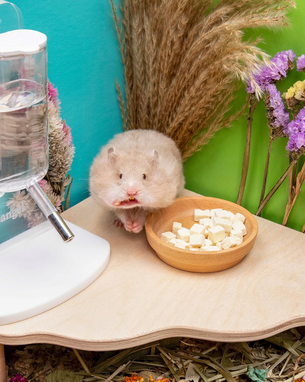 Niteangel Hamster Snack & Treats Toy - Small Animal Natural Treat for Dwarf Syrian Robo Hamsters