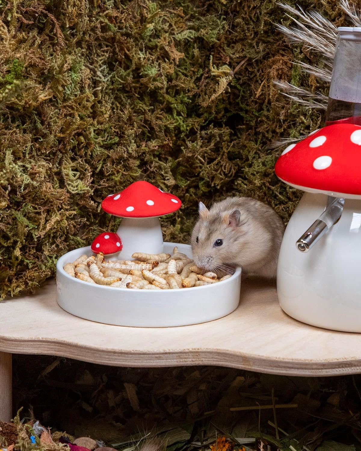 Niteangel Small Animal Snack & Treats - Small Critter Natural Treat for Dwarf Syrian Hamsters