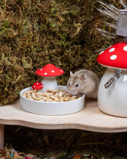 Niteangel Small Animal Snack & Treats - Small Critter Natural Treat for Dwarf Syrian Hamsters