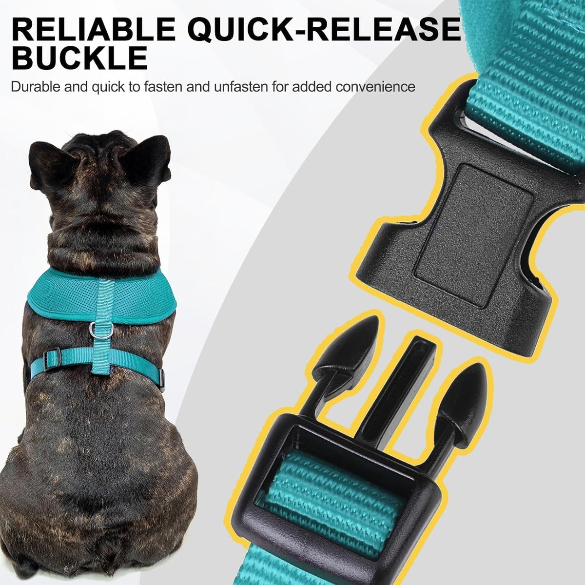 BINGPET Small Dog Harness - Breathable Mesh Puppy Cat Harnesses - No Pull Adjustable Dog Harness