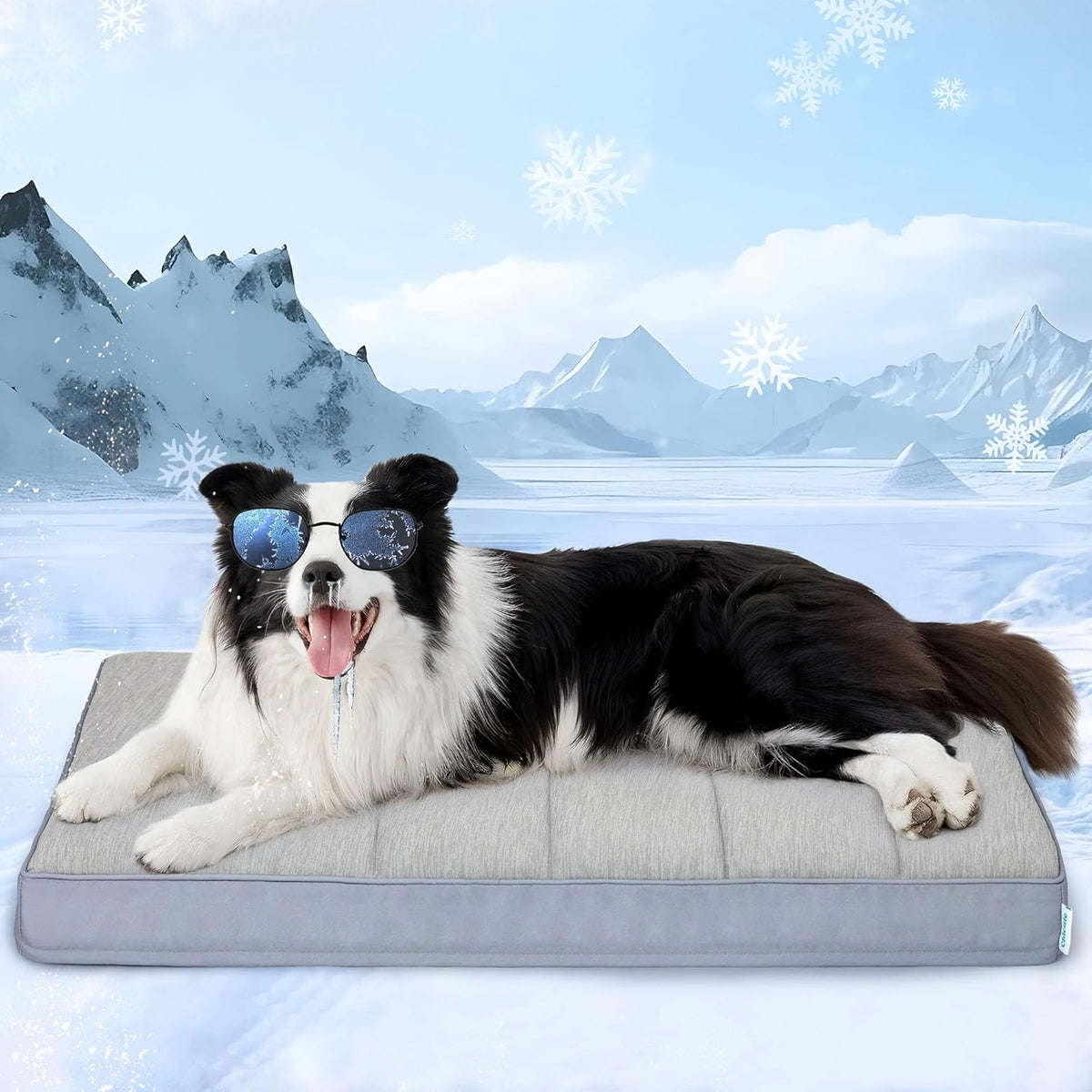 Cooling Dog Bed for Large Dogs - Orthopedic Pet Beds with Memory Foam, QMAX>0.5, Waterproof