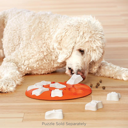 Outward Hound by Nina Ottosson Bone Replacement Parts for Interactive Dog Puzzles - DogBrick