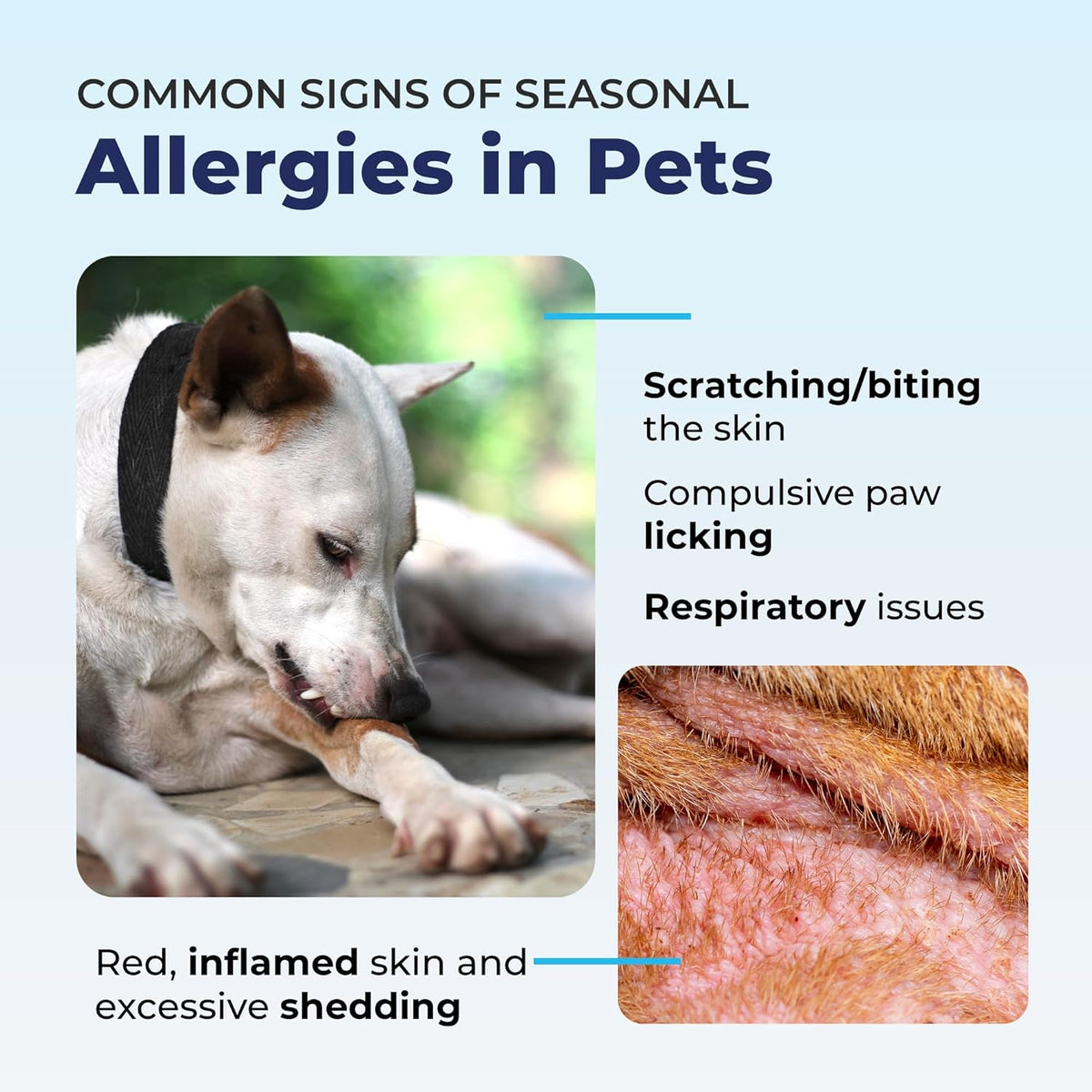 Vetnique Dermabliss Anti Itch Spray for Dogs & Cats with Hydrocortisone for Allergies and Immediate