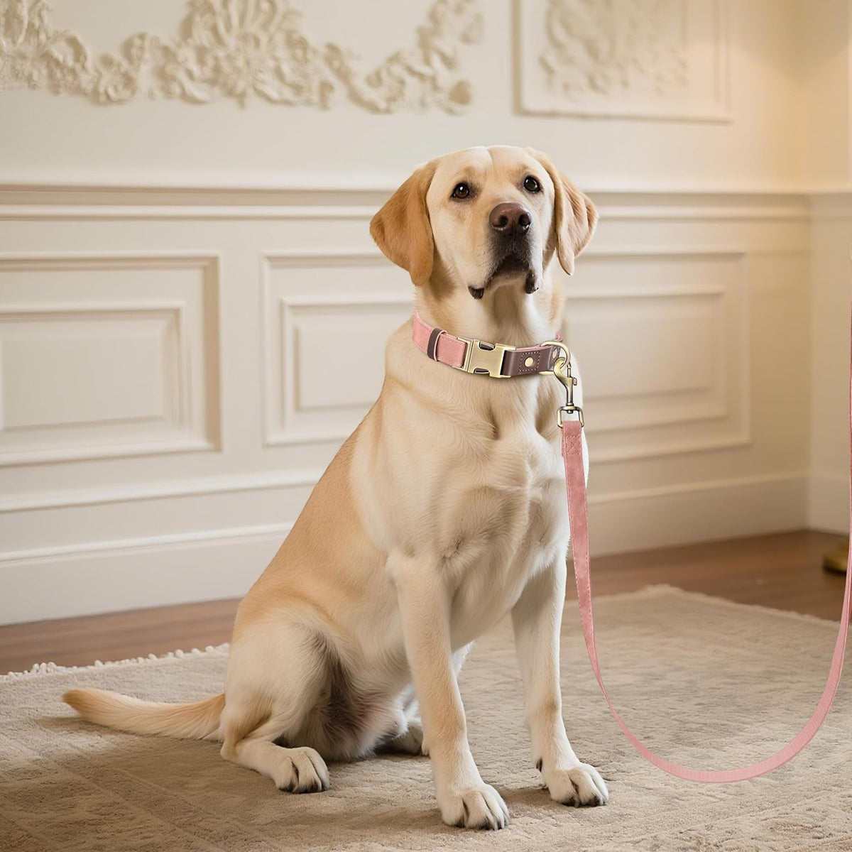 Didog Soft PU Leather Dog Collar for Large Dogs,Classic Adjustable Dog Collars with Quick Release