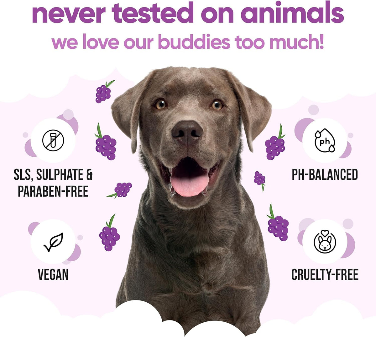 Grape Dog Shampoo by Buddycare | Deep Cleansing Shampoo for Dogs | Fresh Scented | with Aloe Vera