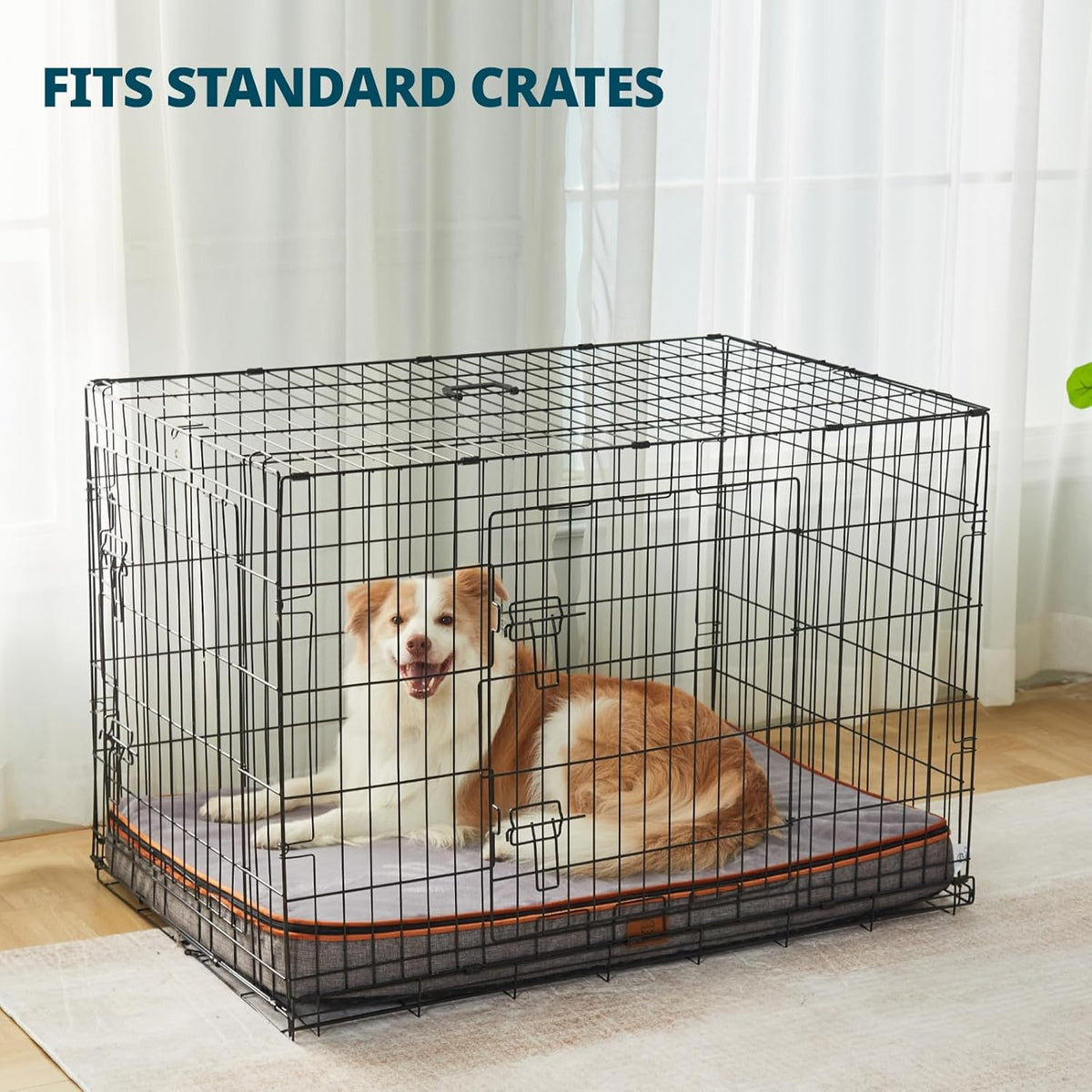 Memory Foam XL Dog Bed - 4” Thick Orthopedic Beds for Extra Large Dogs - Waterproof Dog Bed with