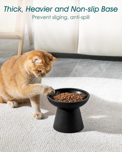 vancasso Ceramic Elevated Cat Bowls 2-Pack - 6.2" Extra Wide Raised Cat Food & Water Dishes, 5.1"