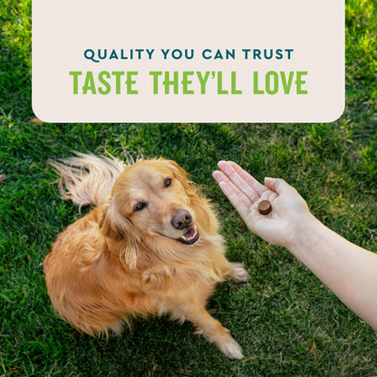 VetIQ Probiotic Supplement for Dogs, Digestive Support for Dogs, Nourishes Gut Bacteria and