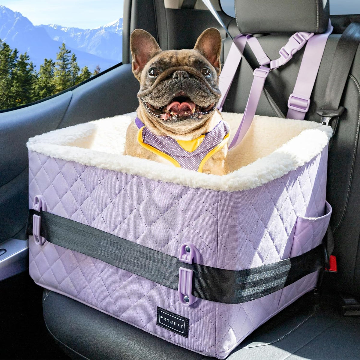 PETSFIT Dog Booster Car Seat, Soft Foam Cat Car Seat with Patented Safety Buckles, Storage Pockets