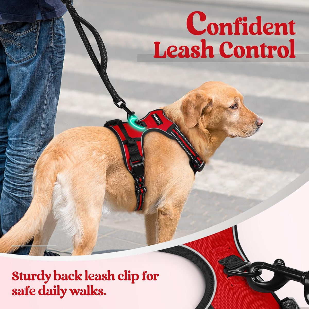 rabbitgoo Dog Harness No Pull with 2 Leash Clips, Adjustable Soft Padded, Reflective Oxford No
