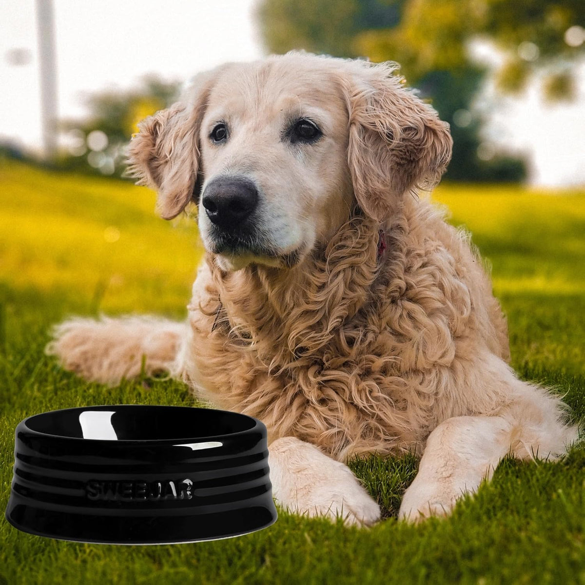 SWEEJAR Gradient Dog Bowl, Ceramic Dog Food Dish for Puppy and Large Dog, Porcelain Pet Bowl for