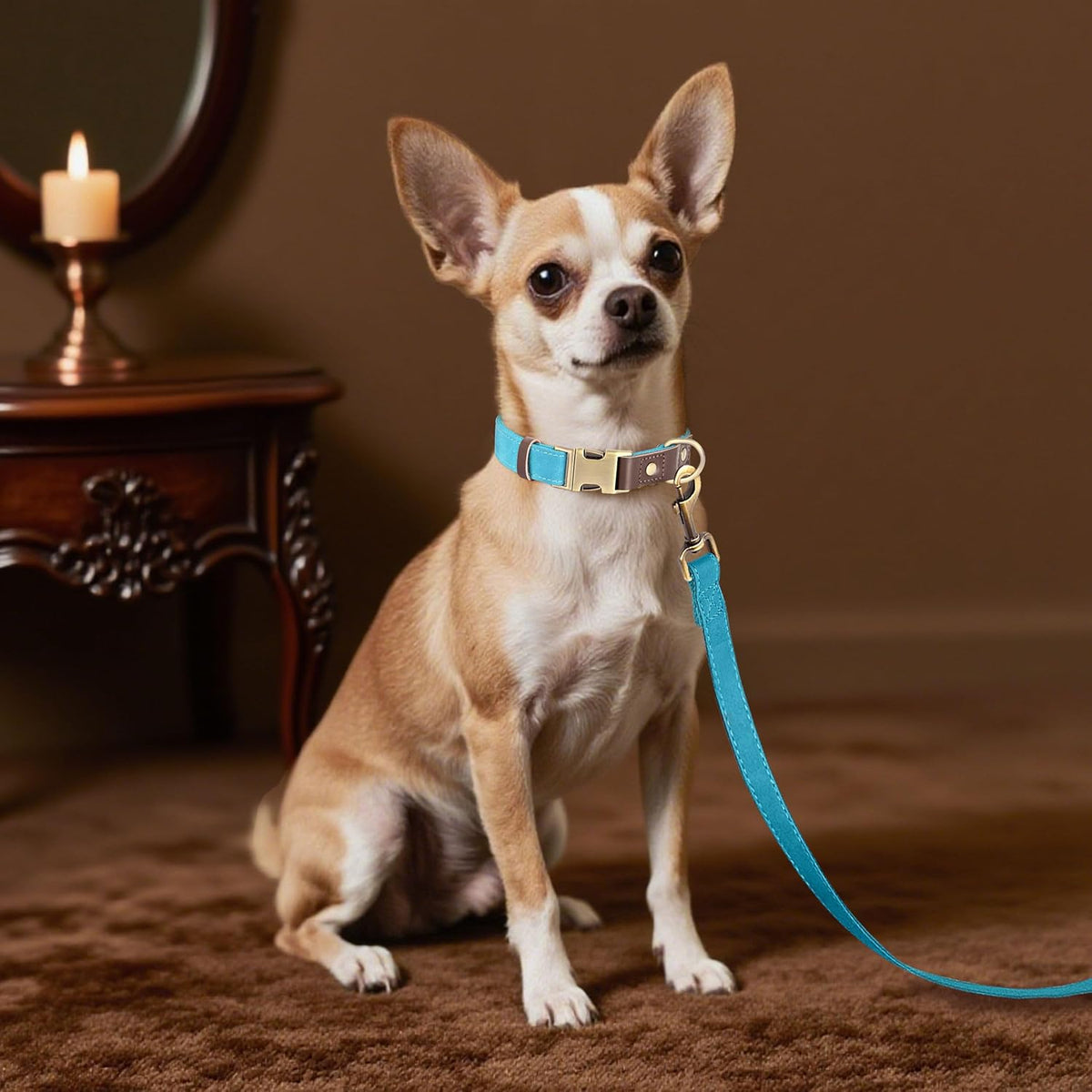 Didog Soft PU Leather Dog Collars for Small Dogs,Classic Adjustable Dog Collars with Quick Release
