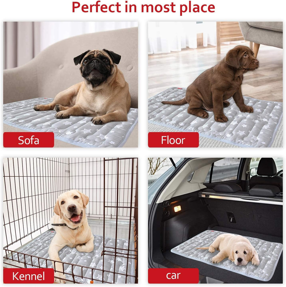 Dog Crate Mat (24" X 18"), Soft Dog Bed Mat with Cute Prints, Personalized Crate Pad, Anti-Slip