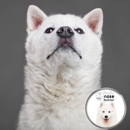 The Blissful Dog Samoyed Nose Butter for Dry, Cracked Skin, Lick-Safe Dog Nose Balm with