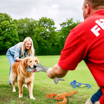 Dog Toy Squeak No Stuffing Toys, 4-Pack Toys for Small Medium Large Breed, Puppy Teething