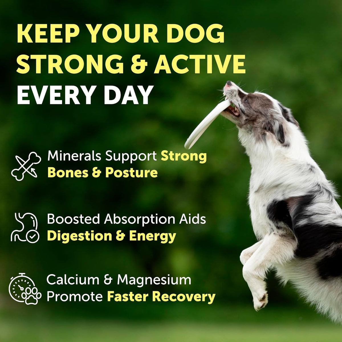 Nature's Protection Dog Joint Supplement - Mineral Powder Supplement for Pet Muscle Recovery