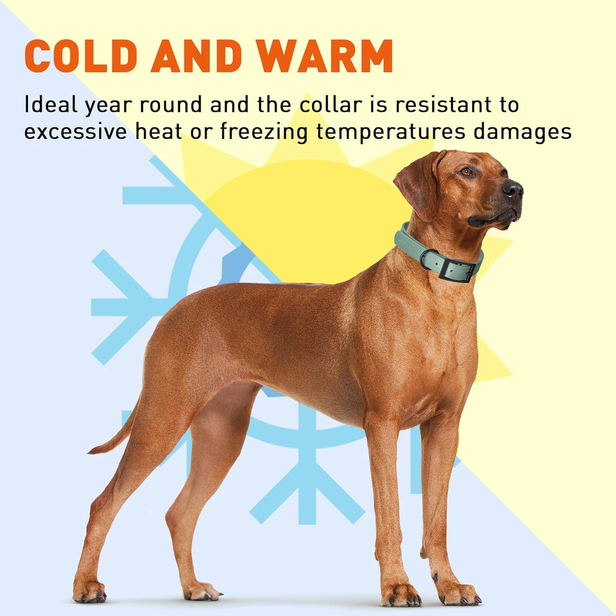 Dogline Biothane Waterproof Dog Collar Strong Coated Nylon Webbing with Black Hardware Odor- Proof