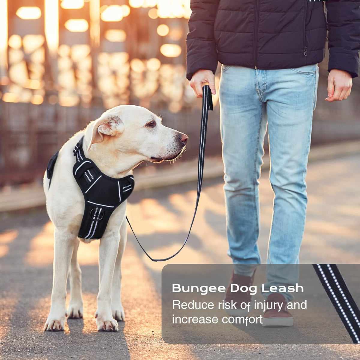 No Pull Dog Harness for Medium Dogs, Adjustable No Choke Pet Vest with Dog Leash Fit Smart