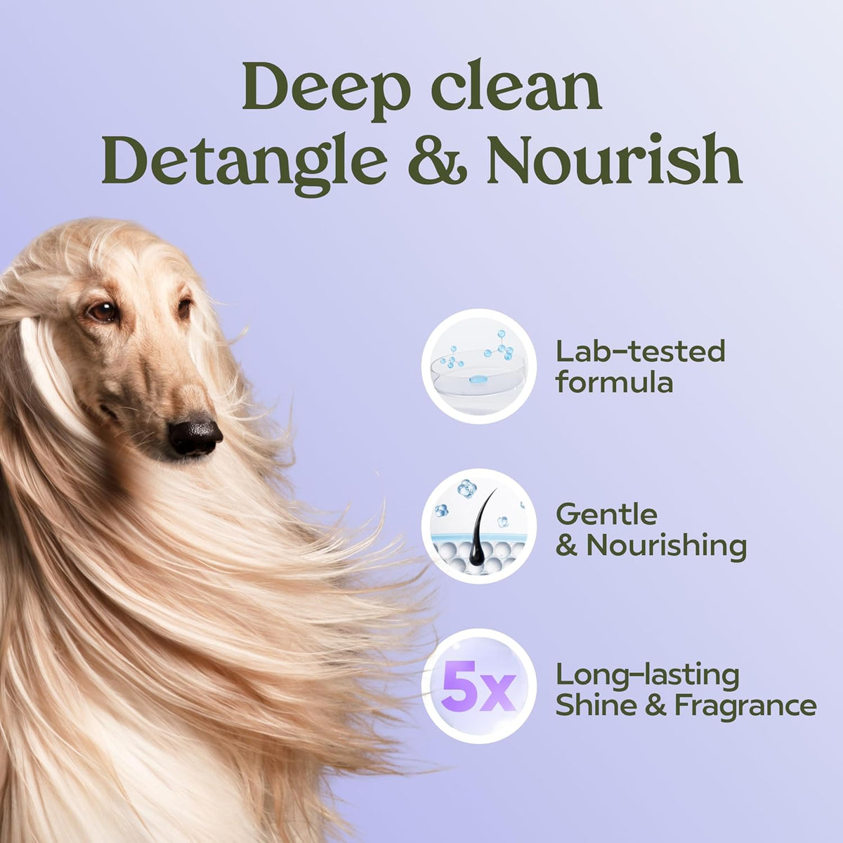 PAWFUME Dog Shedding Shampoo and Conditioner, Royal Lavender, 1-Pack – Nourish & Detangle for Silky
