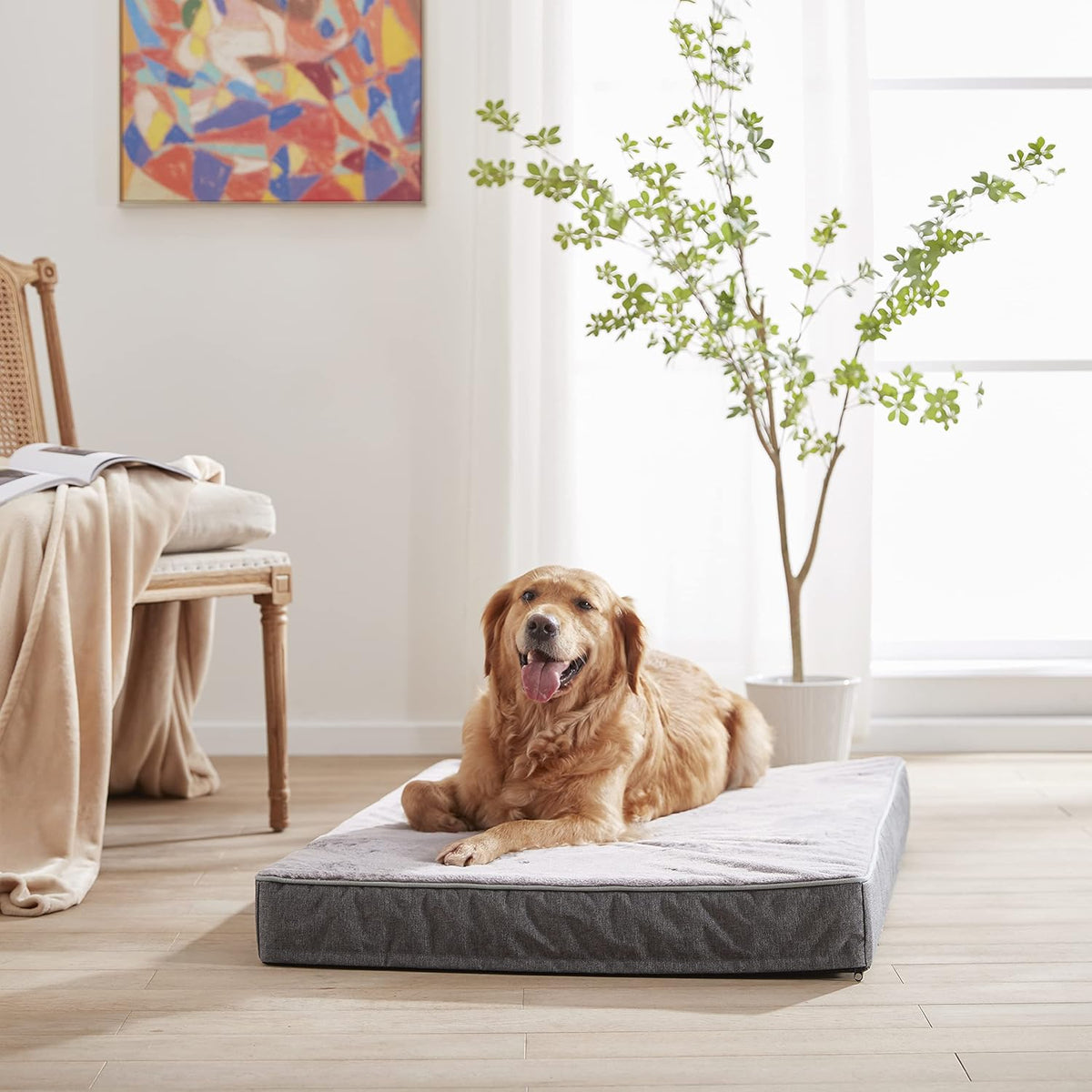 Orthopedic Memory Foam Dog Bed, Cooling Dog Beds Waterproof Pet Bed for Crate with Removable