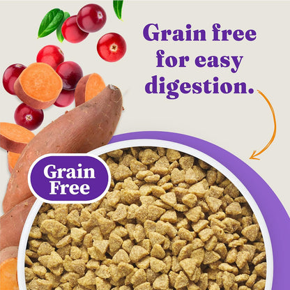 Halo Holistic Cage Free Chicken Cat Food, Grain Free Dry Cat Food, For Healthy Weight Support
