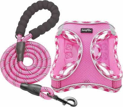 haapaw Dog Harness with Leash Set, No Pull Adjustable Reflective Step-in Puppy Harness with