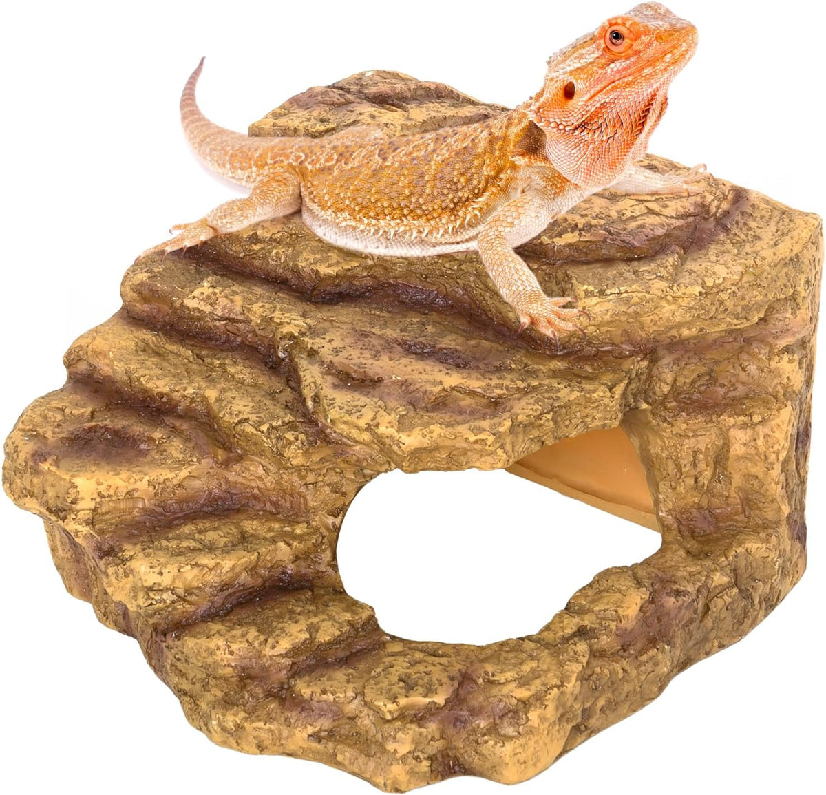 Resin Reptile Hideout Cave Reptile Habitat Tank Decor Terrarium Accessories for Bearded Dragon