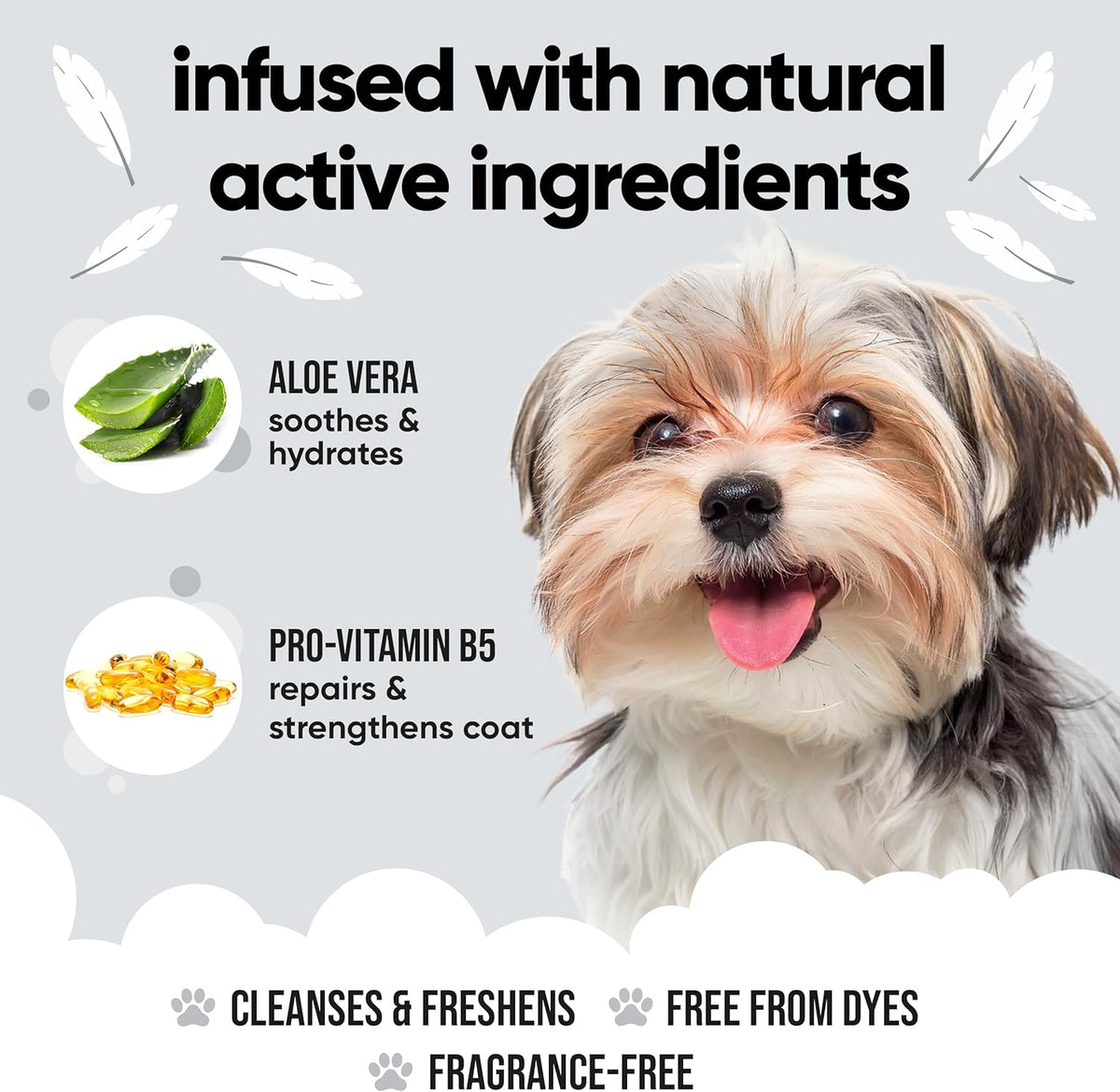Derma Sensitive Dog Shampoo by Buddycare | with Aloe Vera and Pro Vitamin B5 (33.8oz)