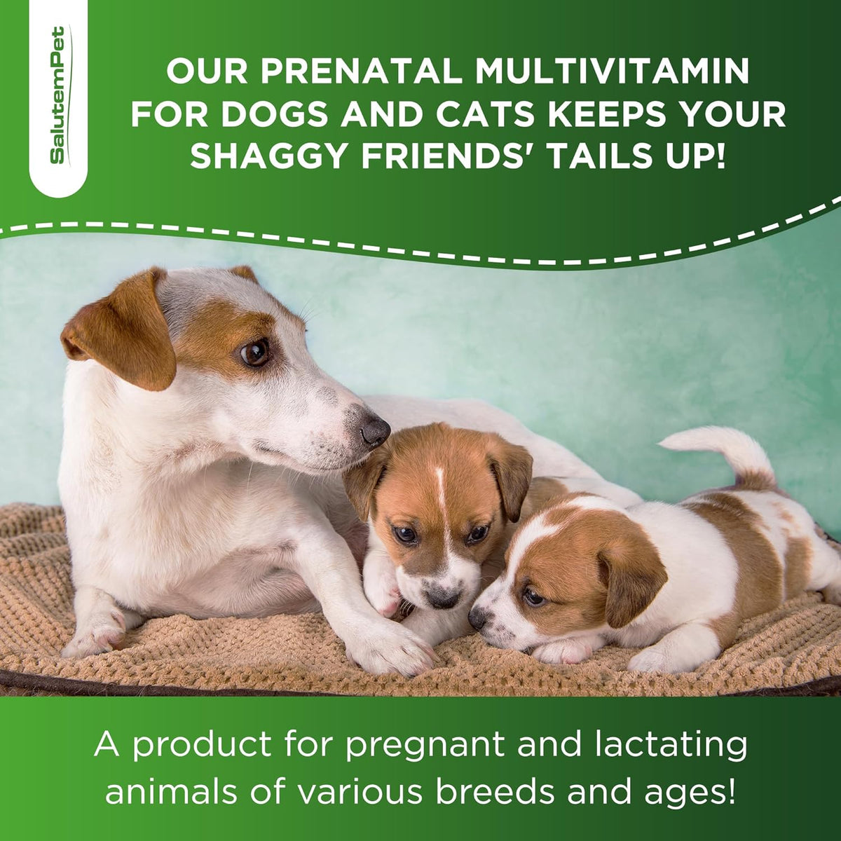 Dog Prenatal Vitamins for Moms During Lactating – Prenatal Vitamins for Dogs & Cats of All Breeds