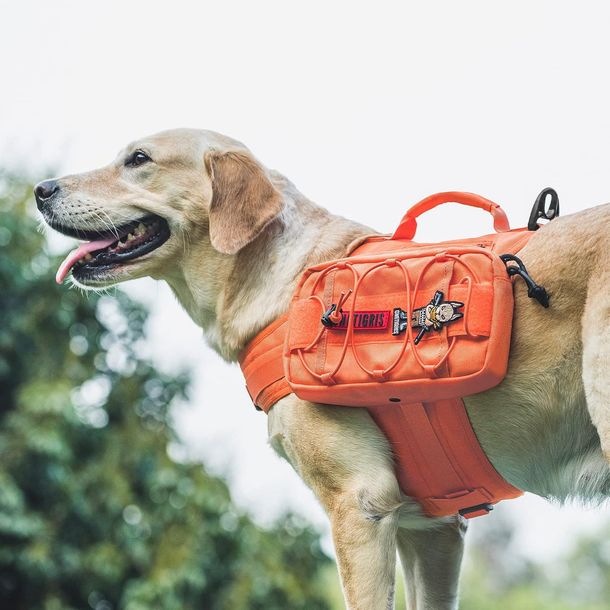 ONETIGRIS Dog Backpack for Medium & Large Dogs, Nylon Backpack for Dogs Tactical Pet Backpack with